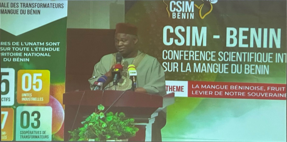 Réflexion sur les enjeux de la filière mangue